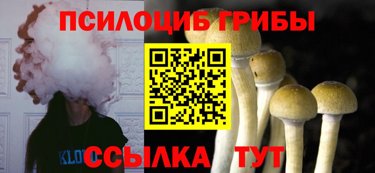 Псилоцибиновые грибы прущие грибы Барабинск